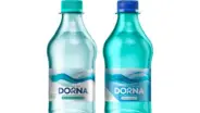 Dorna izvorul alb apă carbogazoasă